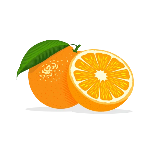 Frische Orange – Symbol für Leichtigkeit und Lebensfreude
